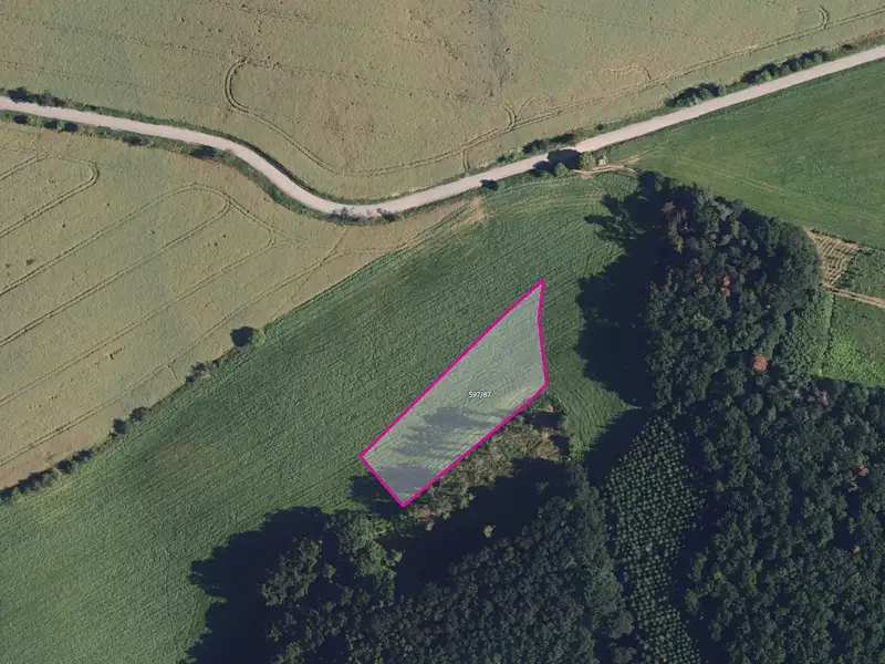 Prodej pole 4226 m², Újezd u Černé Hory – náhled fotky 1
