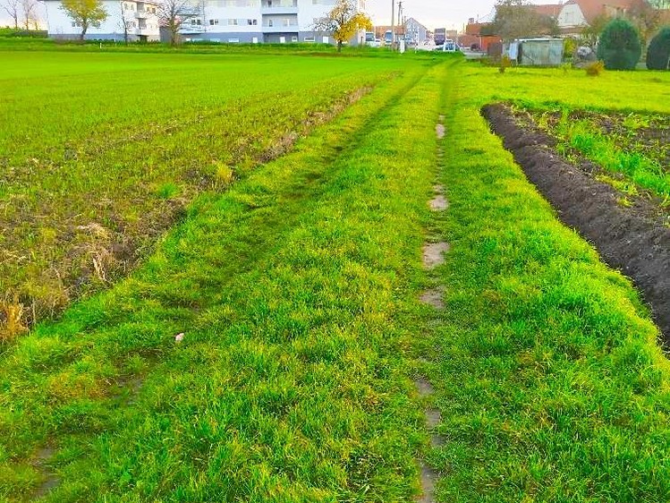 Ostatní
