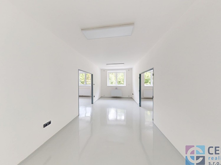 Pronájem komerčního prostoru, 350 m² (9 z 14)
