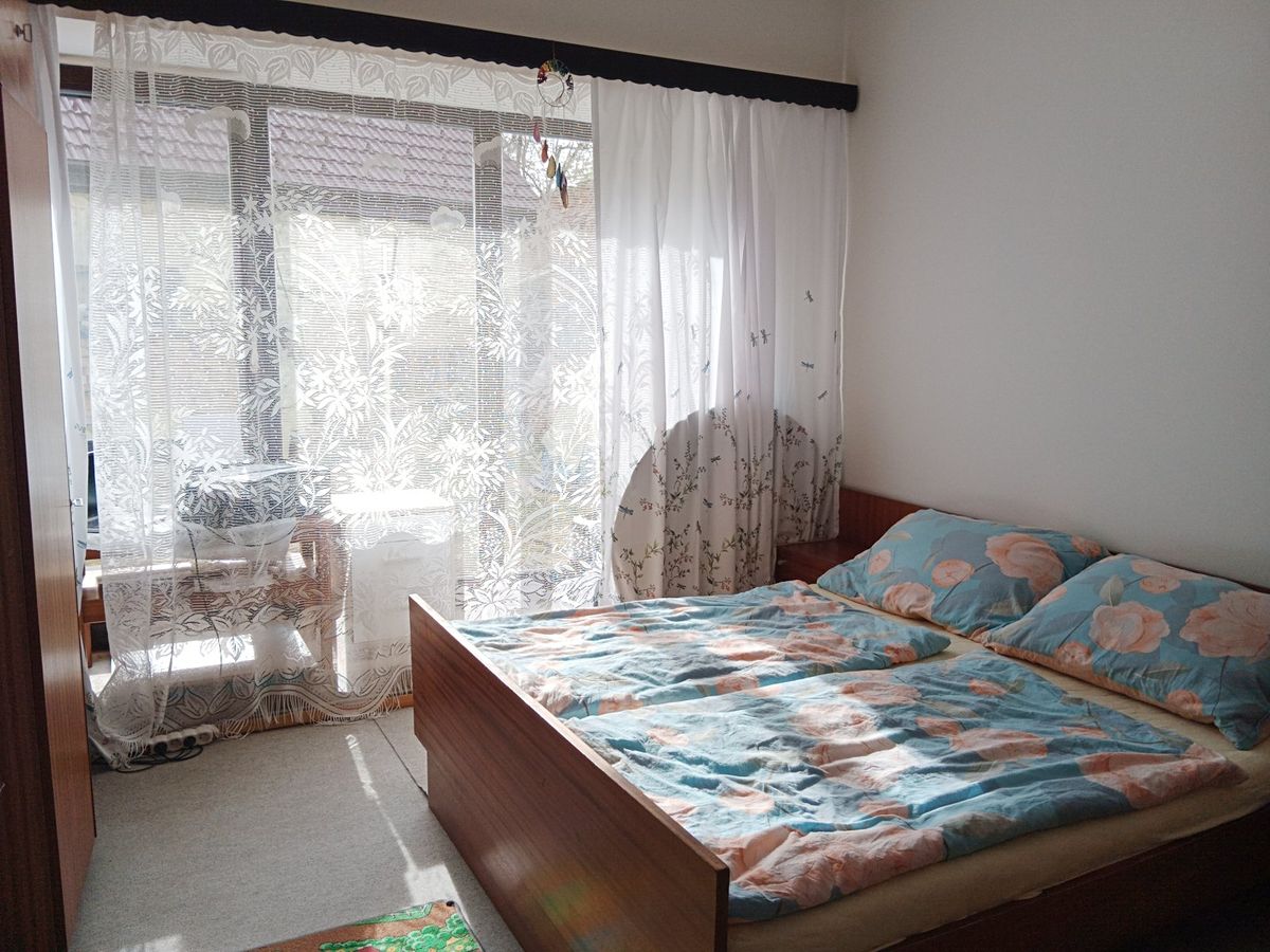 Prodej rodinného domu 250 m², pozemek 214 m² – fotografie 5