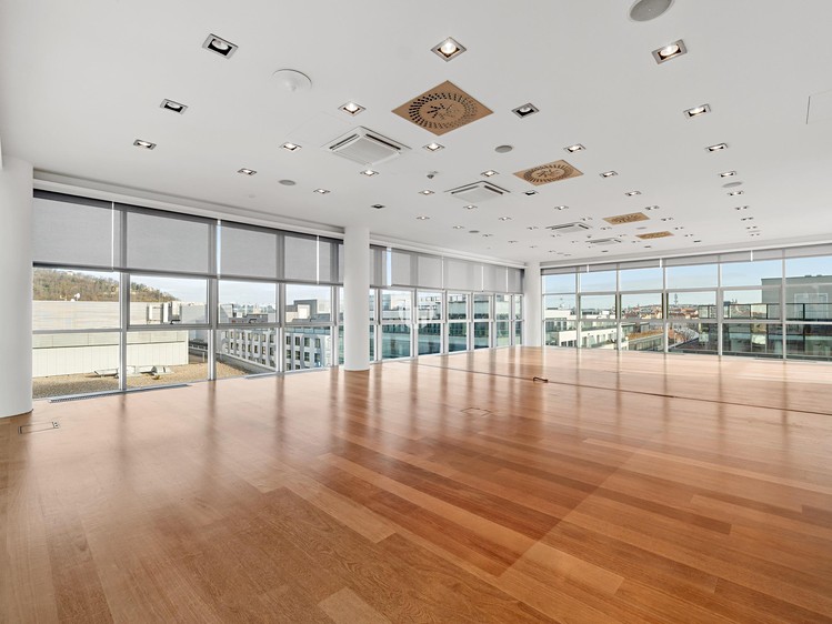 Pronájem komerčního prostoru, 300 m² (8 z 10)