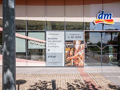 Pronájem obchodního prostoru 478 m²