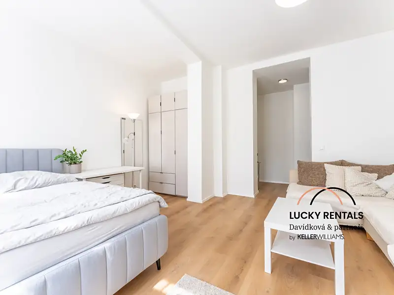 Pronájem bytu 1+1 41 m², Praha – náhled fotky 3
