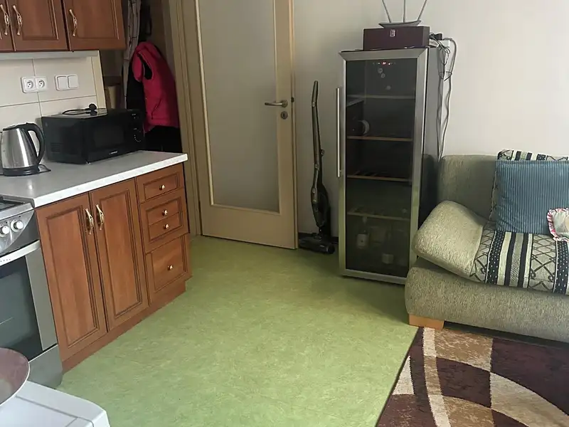 Pronájem bytu 1+1 38 m², České Budějovice – náhled fotky 3