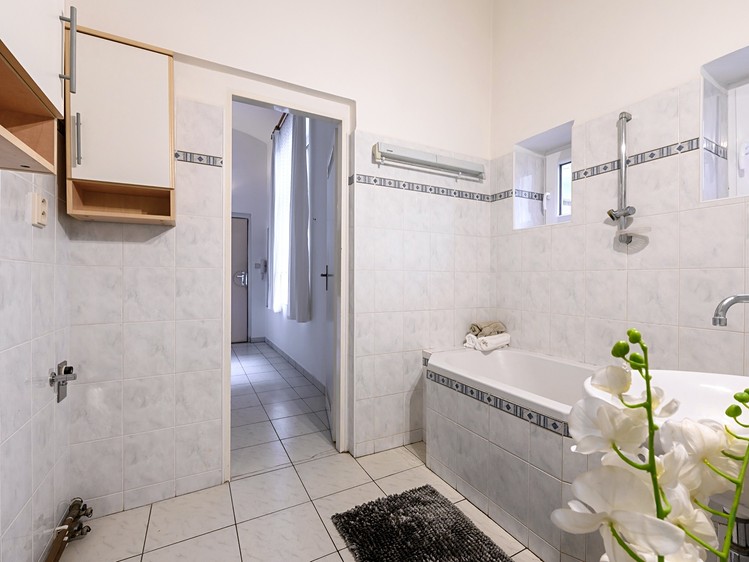 Pronájem bytu 2+1, 66 m² (8 z 12)