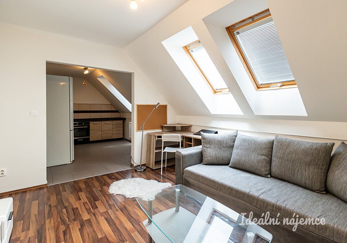 Pronájem bytu 2+kk 50 m² – fotografie 4