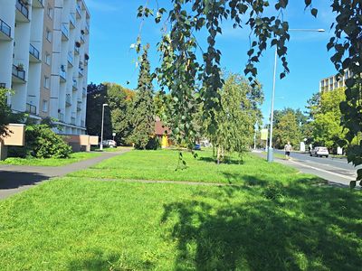 Prodej bytu 3+1 98 m²