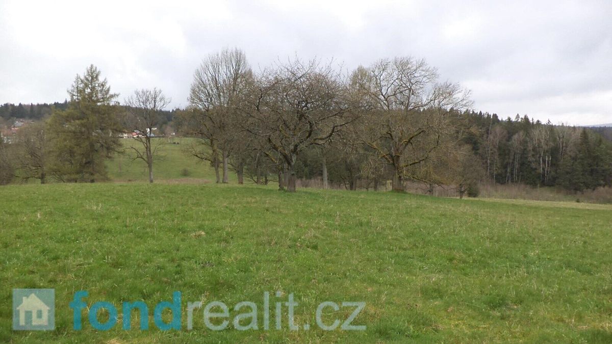 Prodej pole 22368 m² – fotografie 3