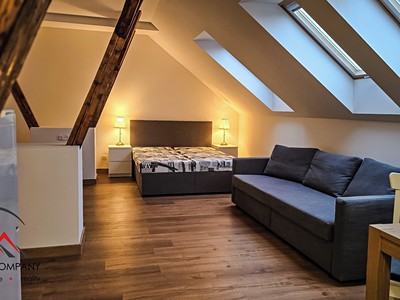 Wohnung 1+kk zur Miete, 38 m² (2 von 14)