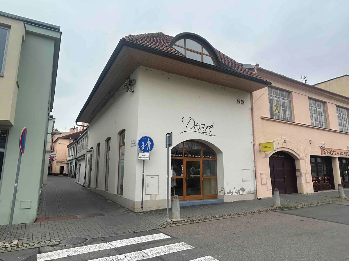 Prodej obchodního prostoru 210 m² – fotografie 2