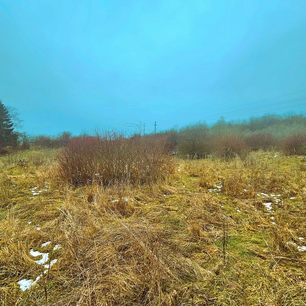 Prodej pozemku 100000 m² – fotografie 4
