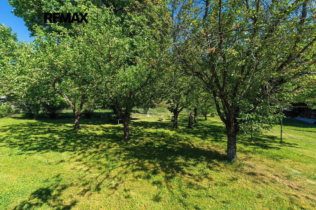 Prodej stavebního pozemku 1408 m² – fotografie 5