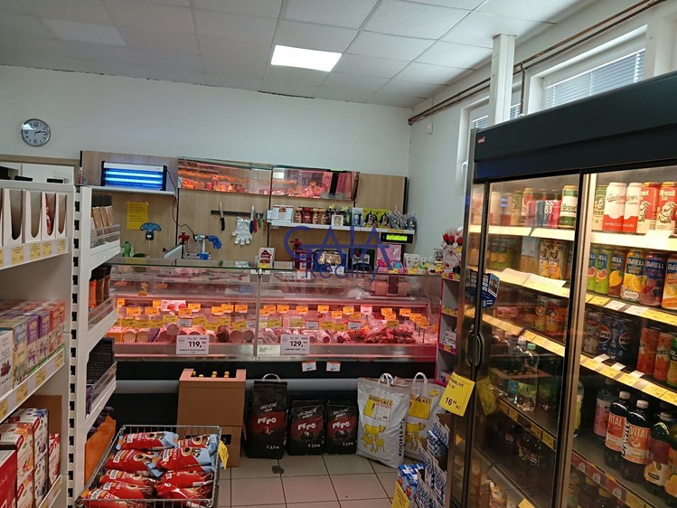 Prodej komerčního prostoru, 218 m² (5 z 21)