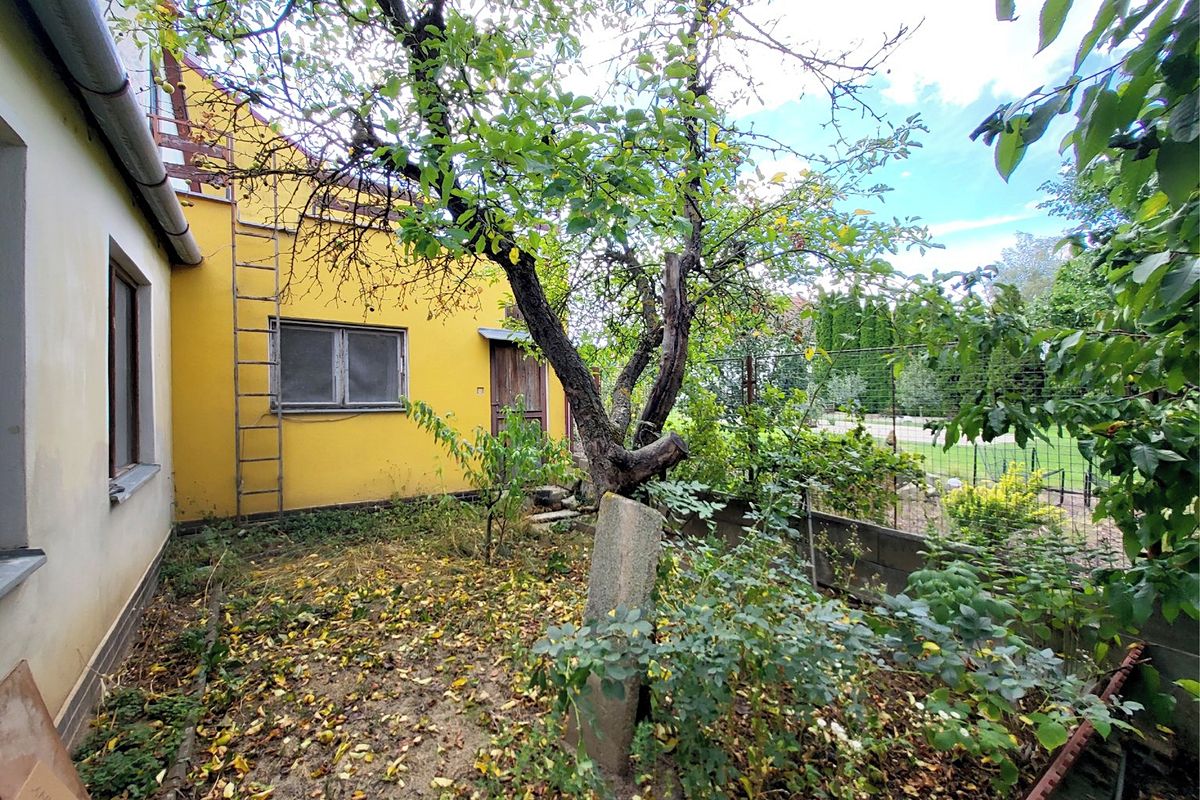 Prodej rodinného domu 97 m², pozemek 243 m² – fotografie 4