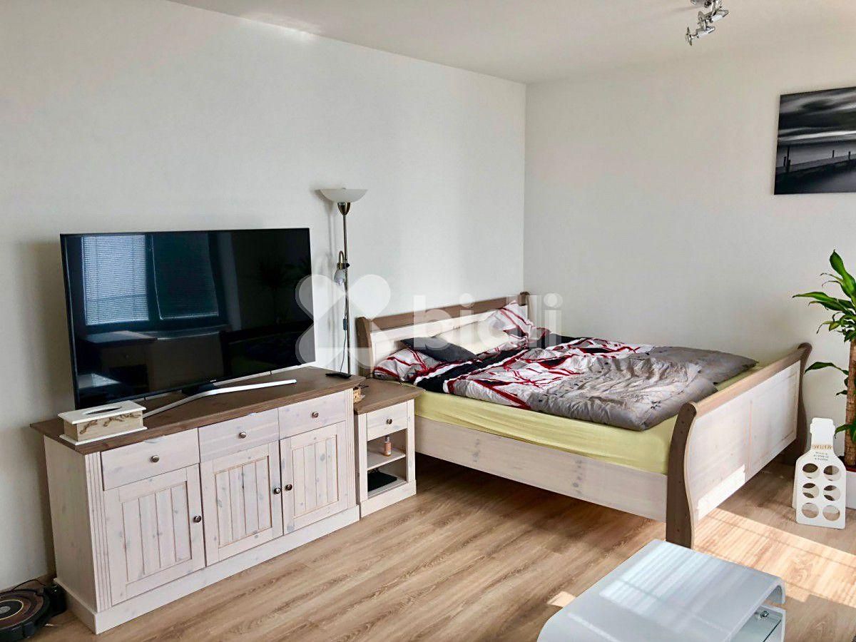 Pronájem bytu 1+kk 32 m² – fotografie 2