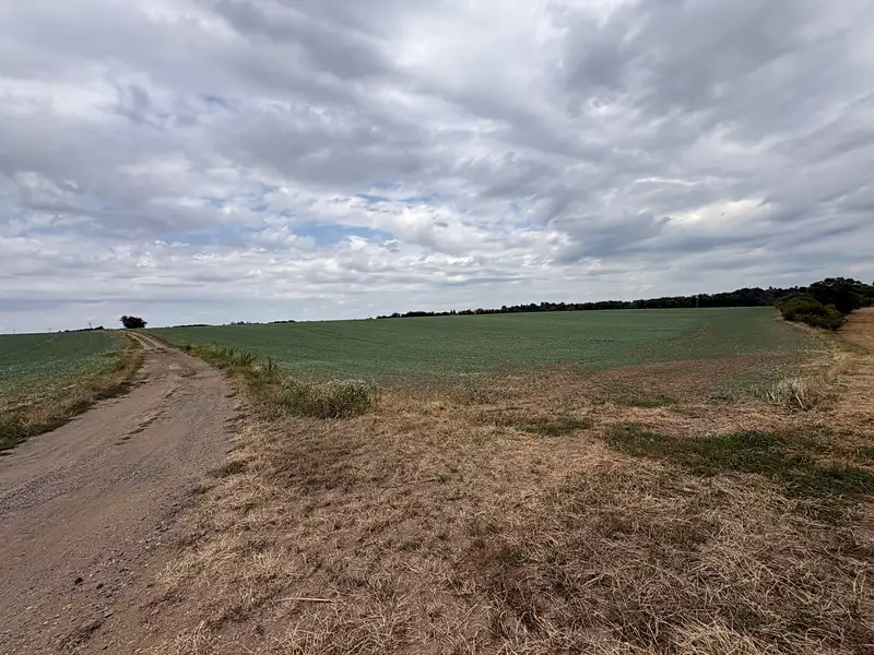 Prodej pole 29765 m², Větrušice – náhled fotky 2