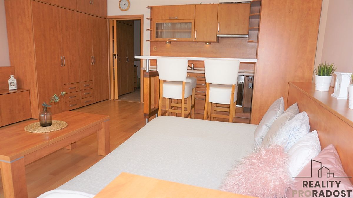 Pronájem bytu 1+kk 44 m² – fotografie 3