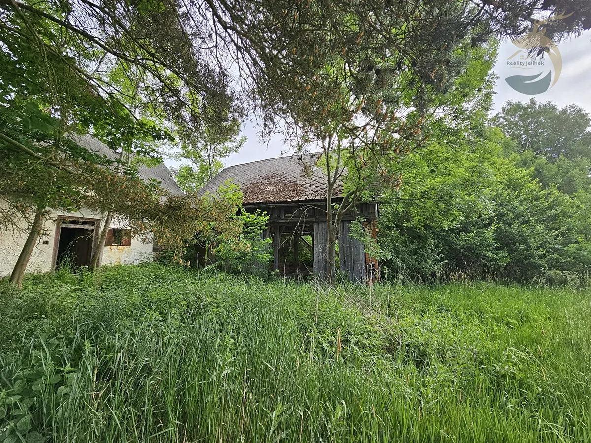 Fotka 9 z 15
