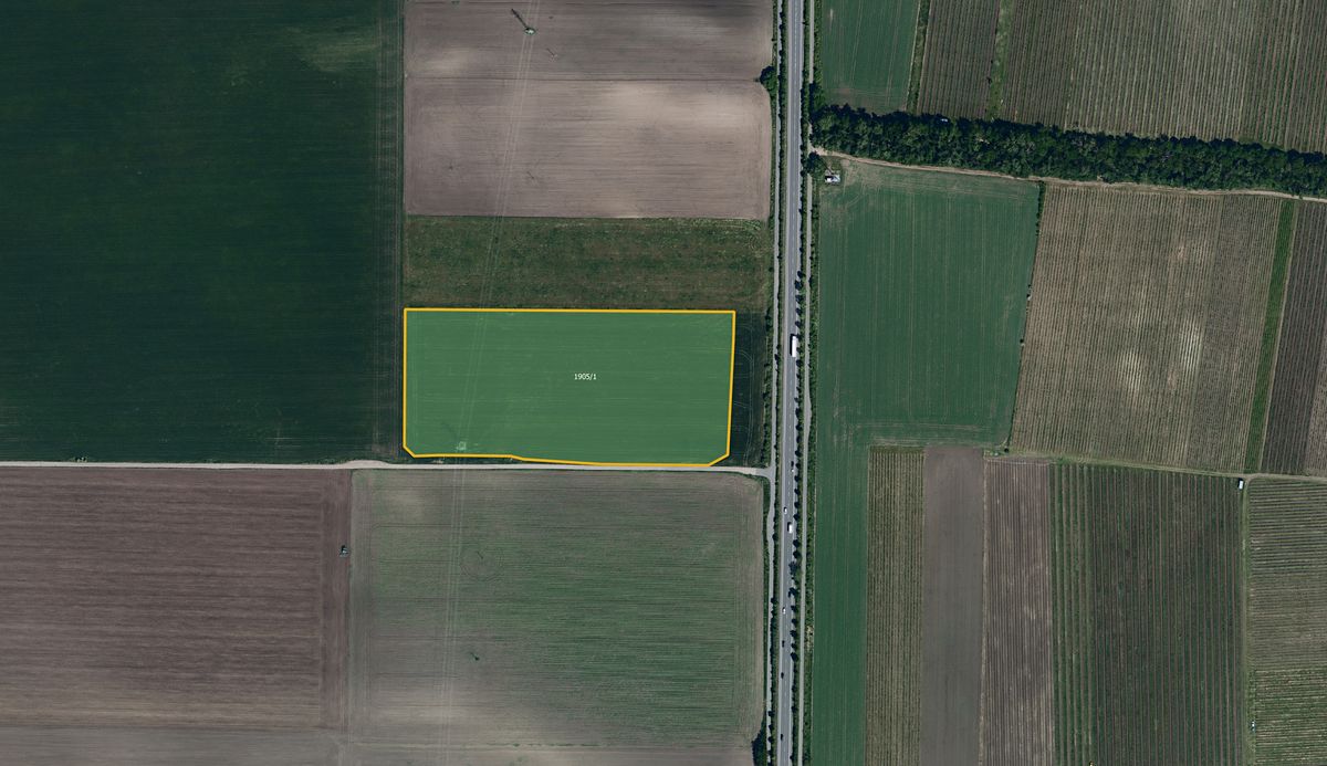 Prodej pole 69111 m² – fotografie 2