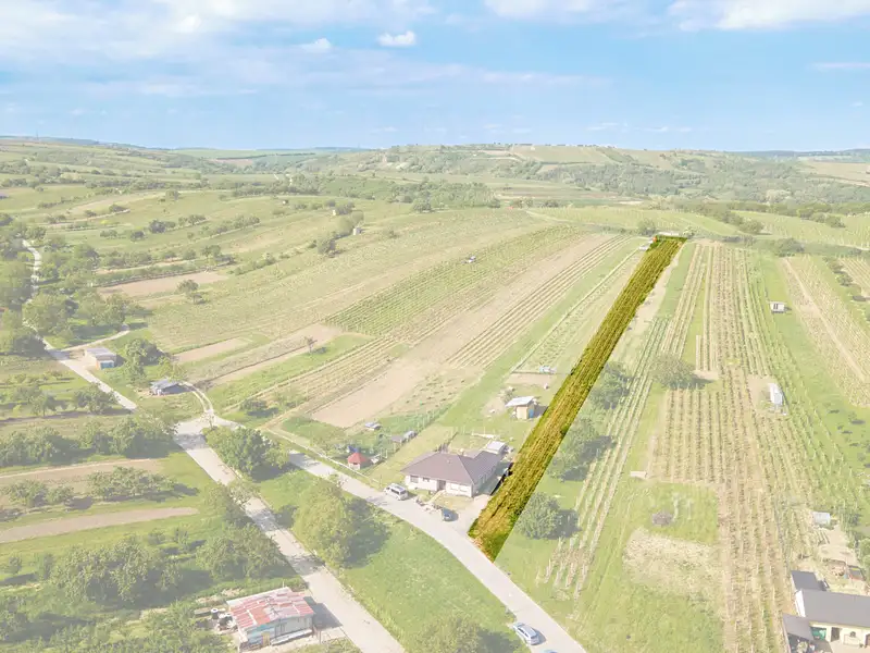 Prodej stavebního pozemku 1528 m², Velké Pavlovice – náhled fotky 2