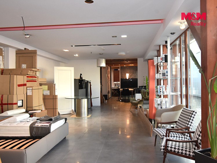 Pronájem komerčního prostoru, 234 m² (4 z 14)