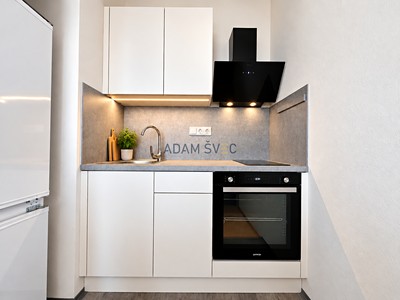 Pronájem bytu 2+1 42 m²