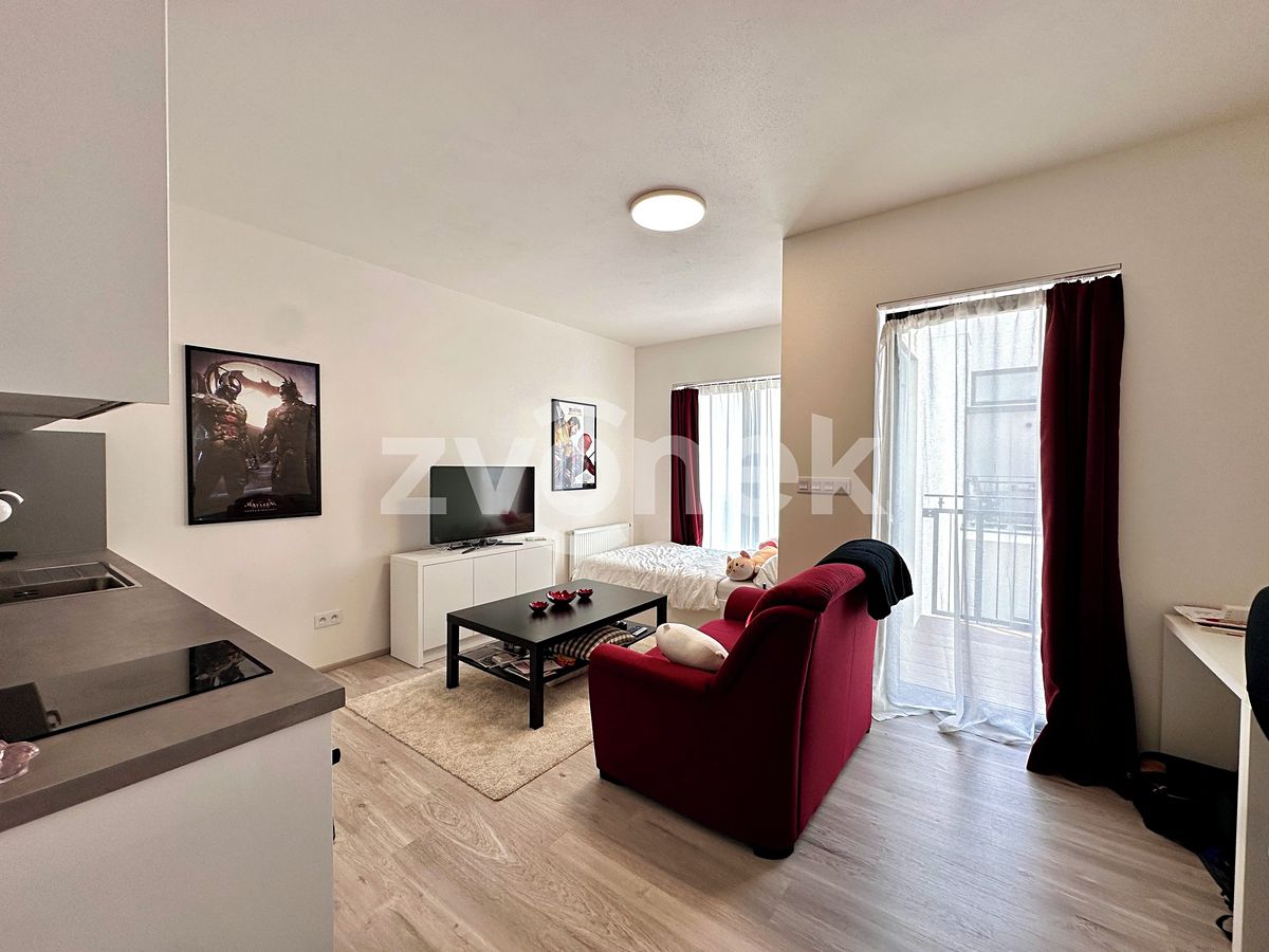 Pronájem bytu 1+kk 33 m²