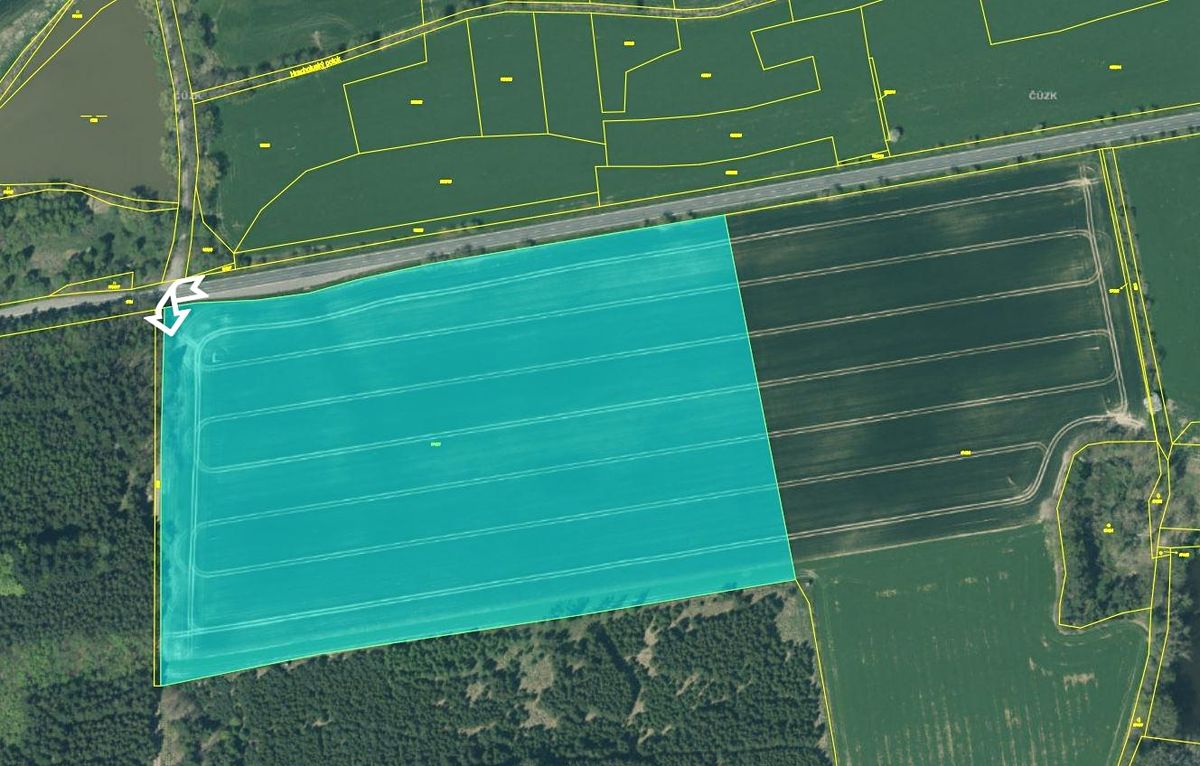 Prodej komerčního pozemku 76524 m² – fotografie 4