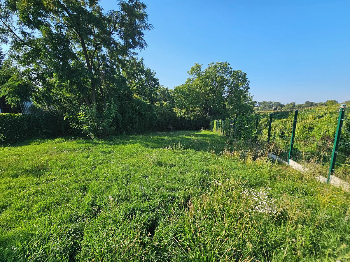 Pronájem rodinného domu 50 m², pozemek 739 m² – fotografie 3