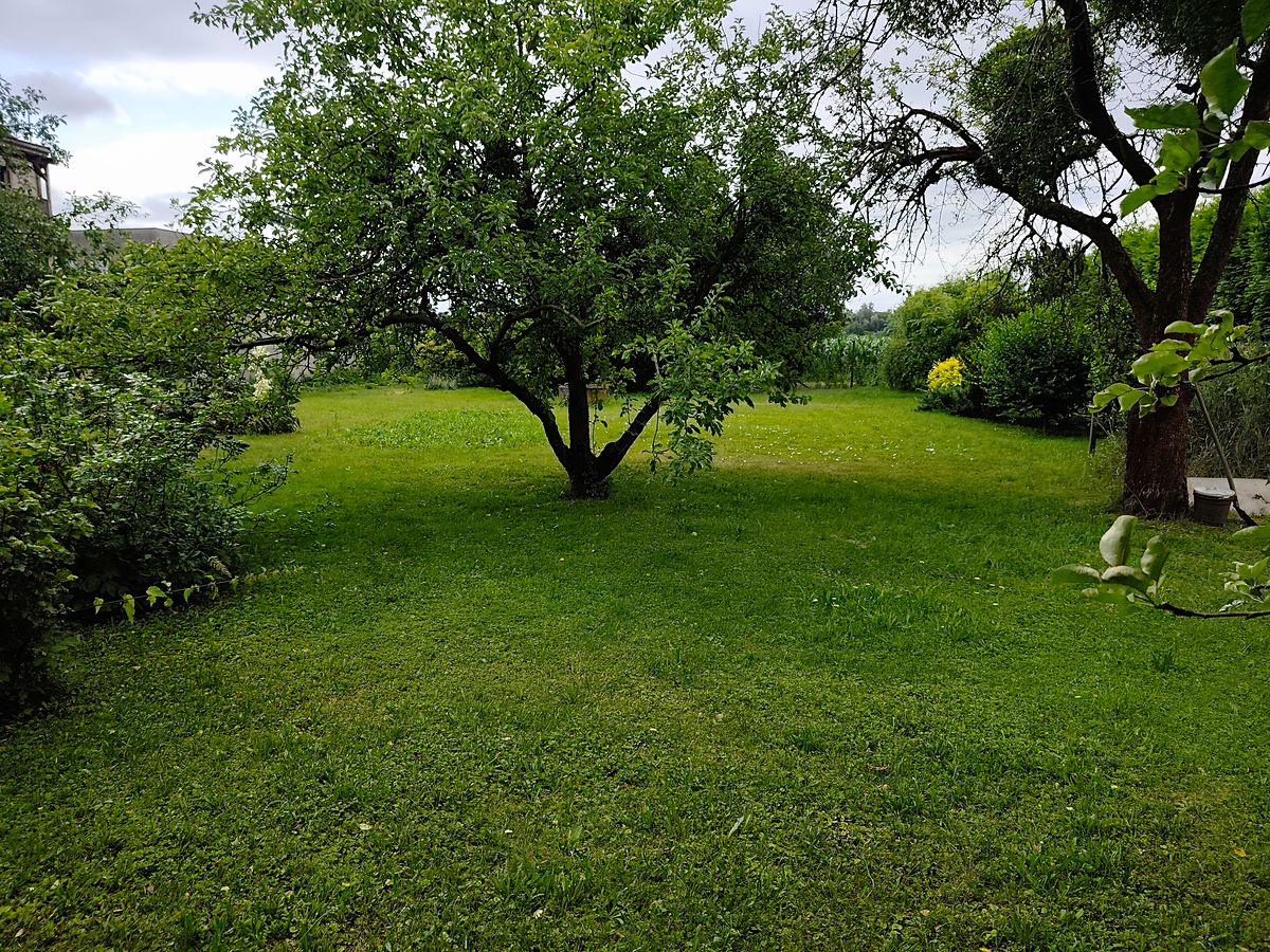 Prodej stavebního pozemku 833 m² – fotografie 2