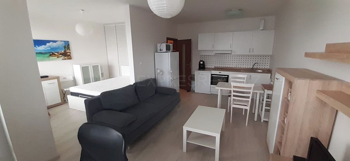 Pronájem bytu 1+kk 46 m²