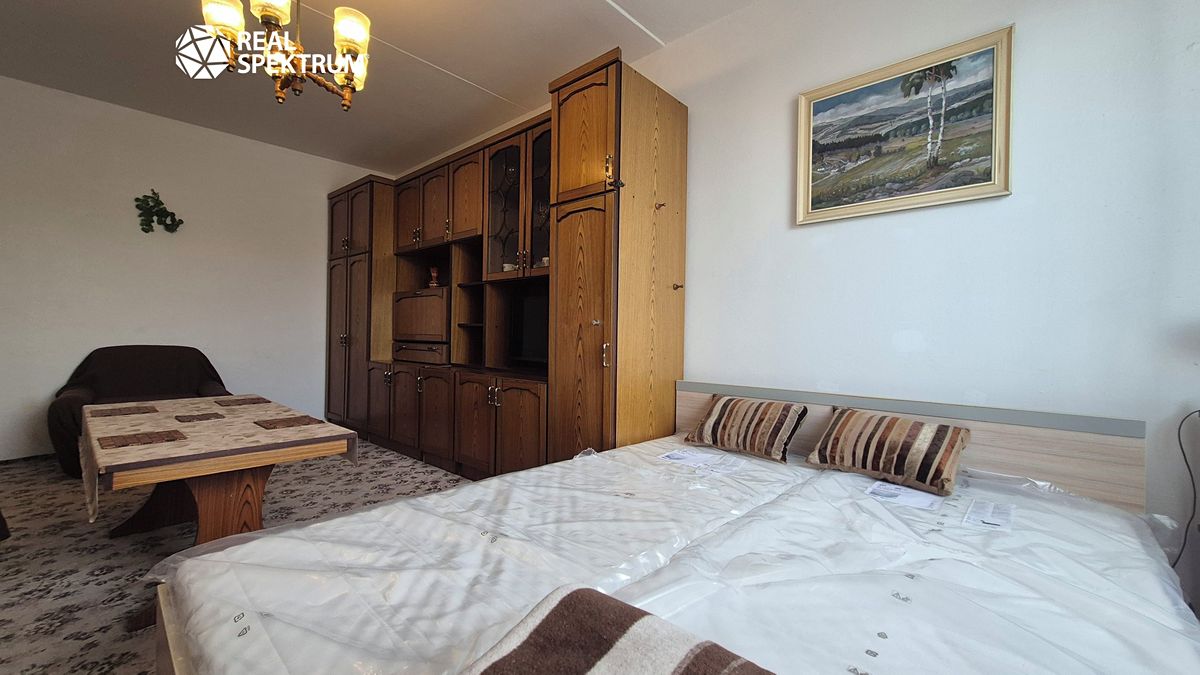 Pronájem bytu 1+1 40 m²