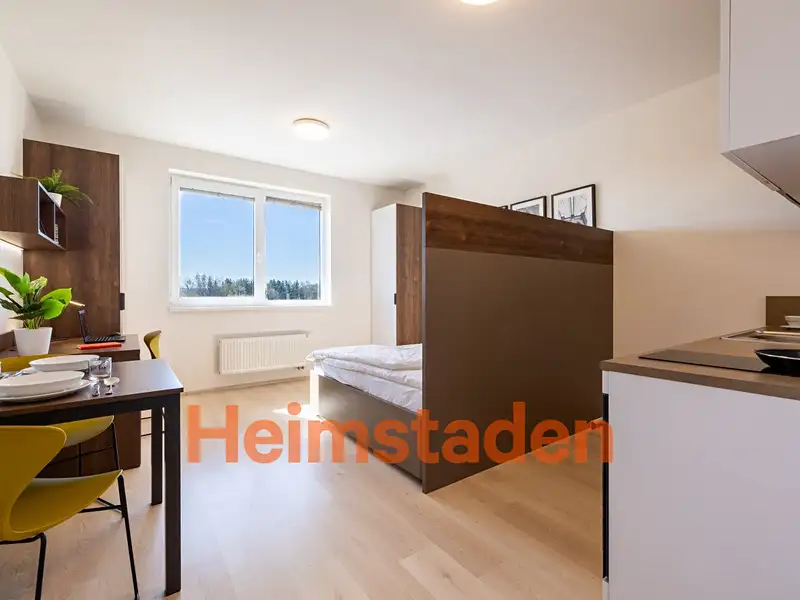 Pronájem bytu 1+kk 27 m², Plzeň – náhled fotky 3