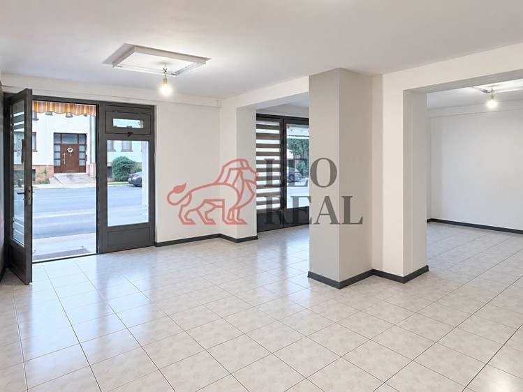 Pronájem komerčního prostoru, 29 m² (1 z 8)
