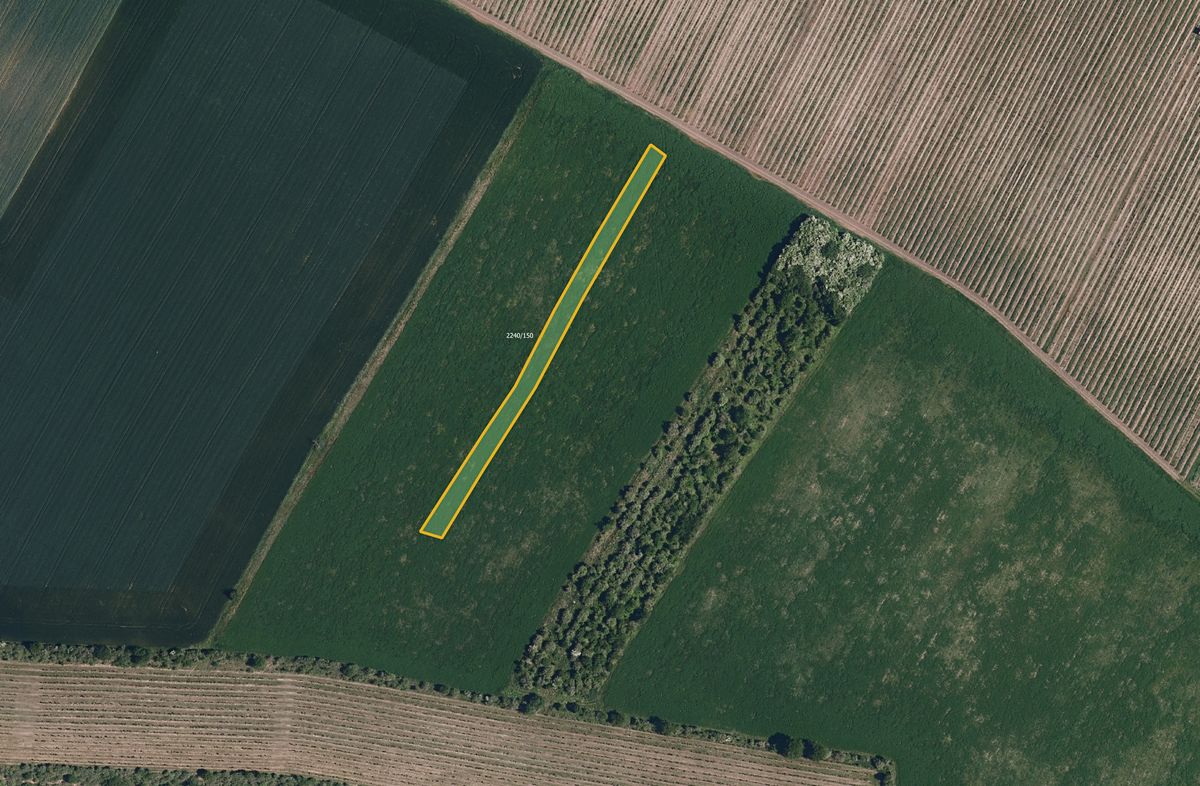 Prodej pole 6586 m²