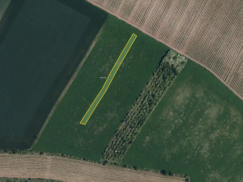 Prodej pole 6586 m², Morkůvky – náhled fotky 1