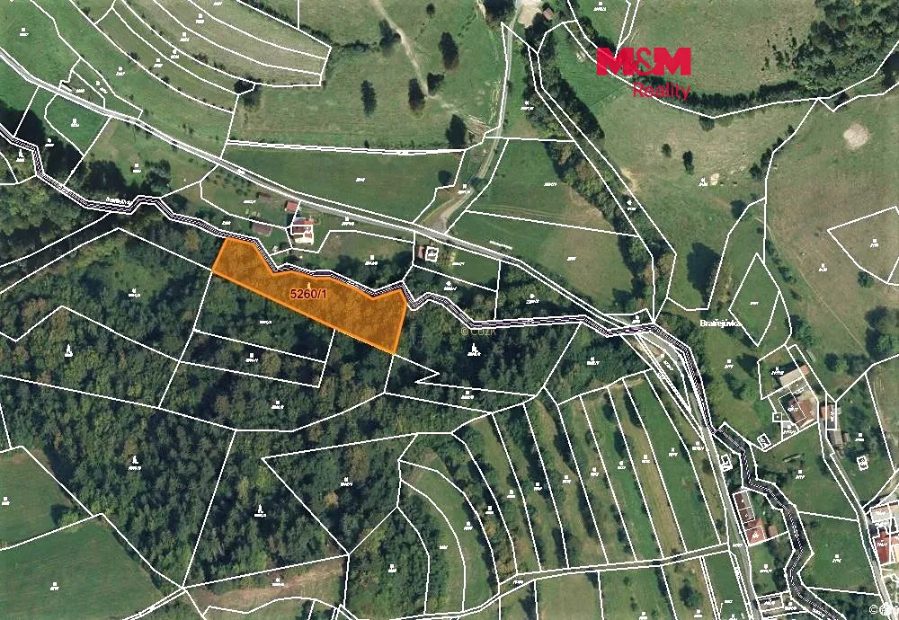 Prodej lesa 4913 m²