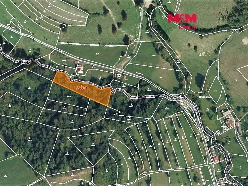 Prodej lesa 4913 m², Huslenky – náhled fotky 1