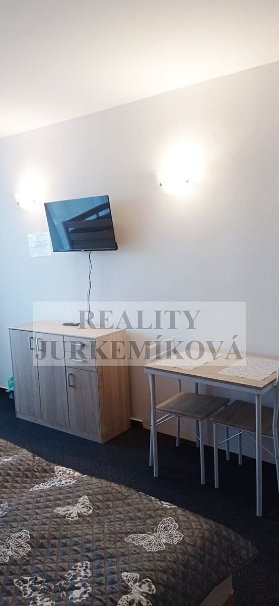 Pronájem bytu 1+kk 32 m² – fotografie 3
