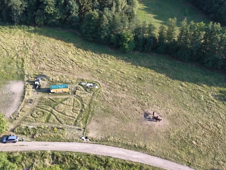 Grundstück zum Kauf, 3.165 m² (5 von 5)