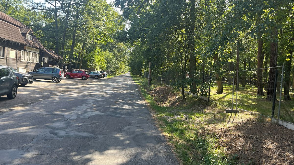 Prodej stavebního pozemku 3171 m² – fotografie 5