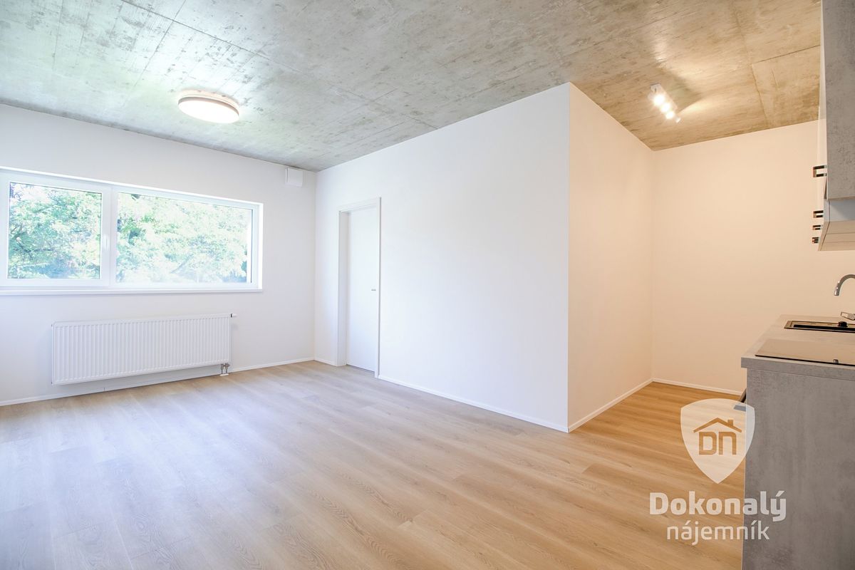 Pronájem bytu 2+kk 48 m² – fotografie 4