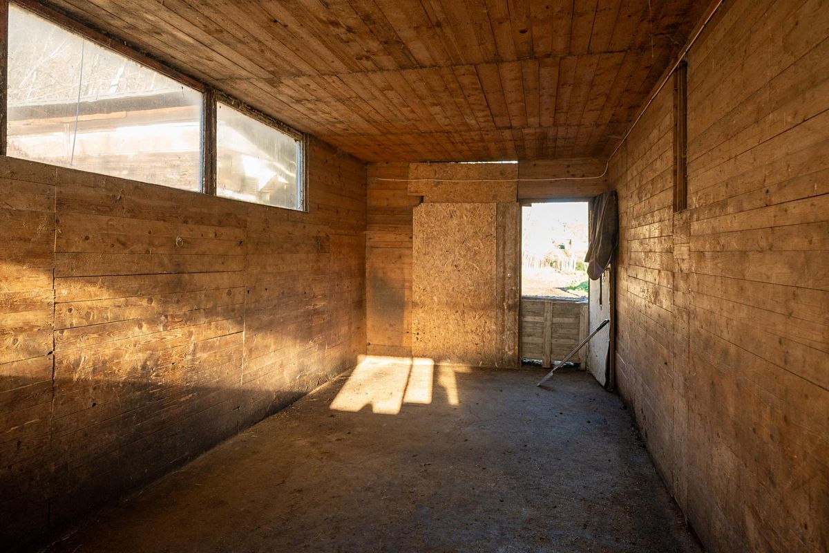 Pronájem komerčního pozemku 22800 m² – fotografie 4