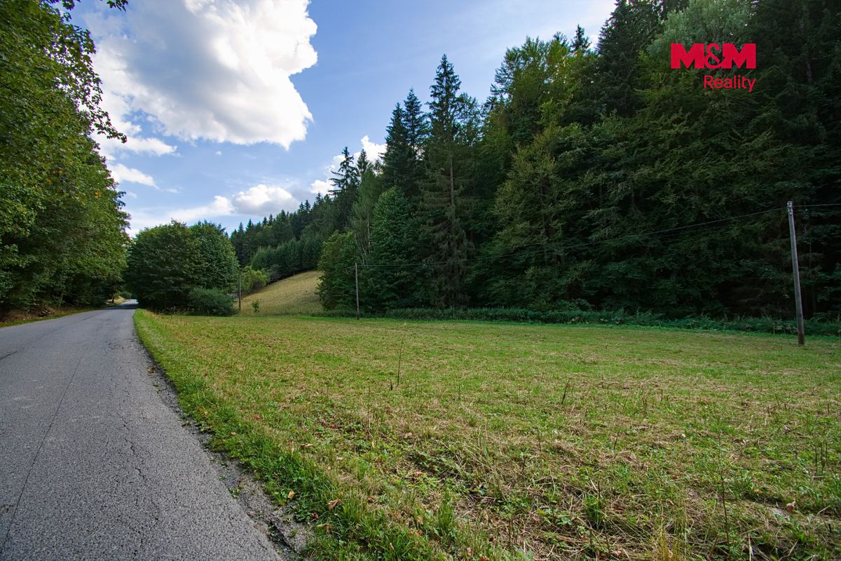 Prodej louky 2346 m² – fotografie 3