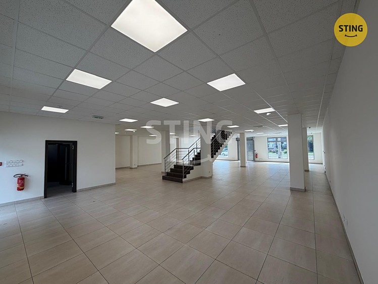Gewerbefläche zur Miete, 350 m² (2 von 22)