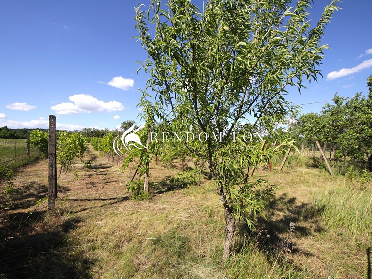 Ostatní