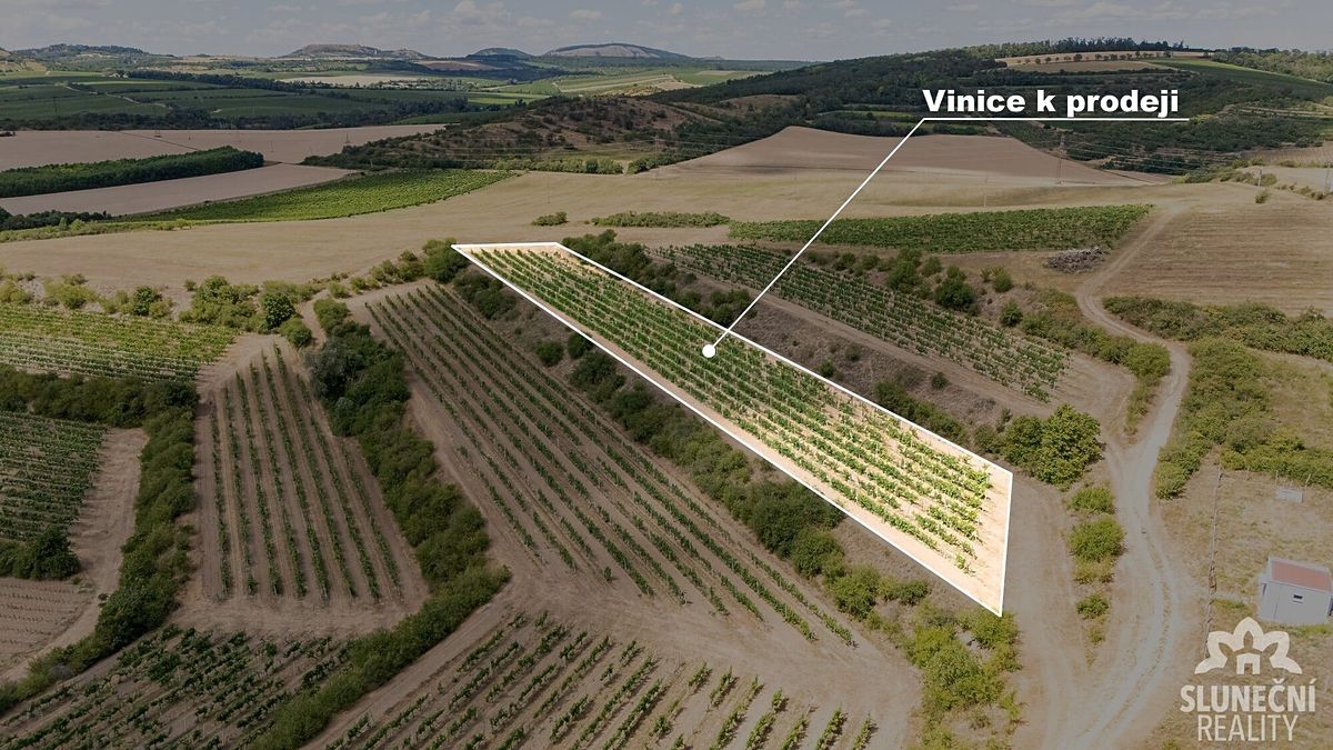 Prodej sadu, vinice 6224 m²