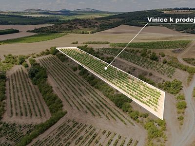 Prodej sadu, vinice 6224 m²