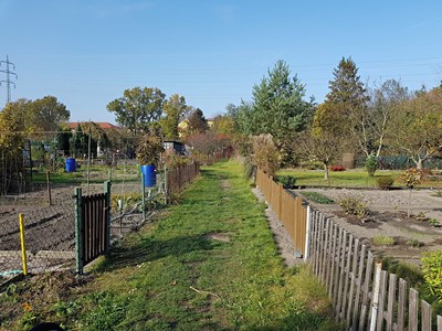 Pronájem  zahrady 200 m²