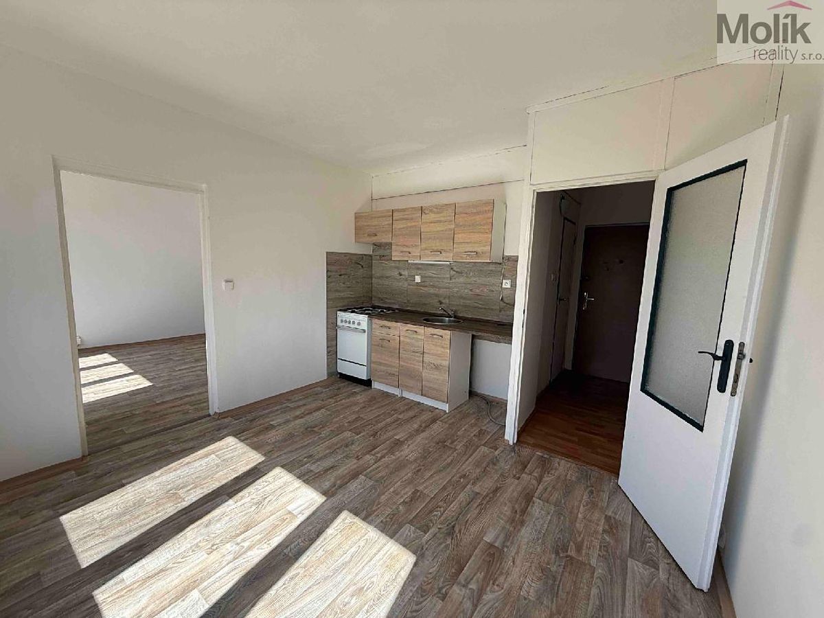 Pronájem bytu 1+1 35 m² – fotografie 2